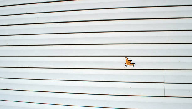 Best Wood Siding Installation  in Stratford, NJ